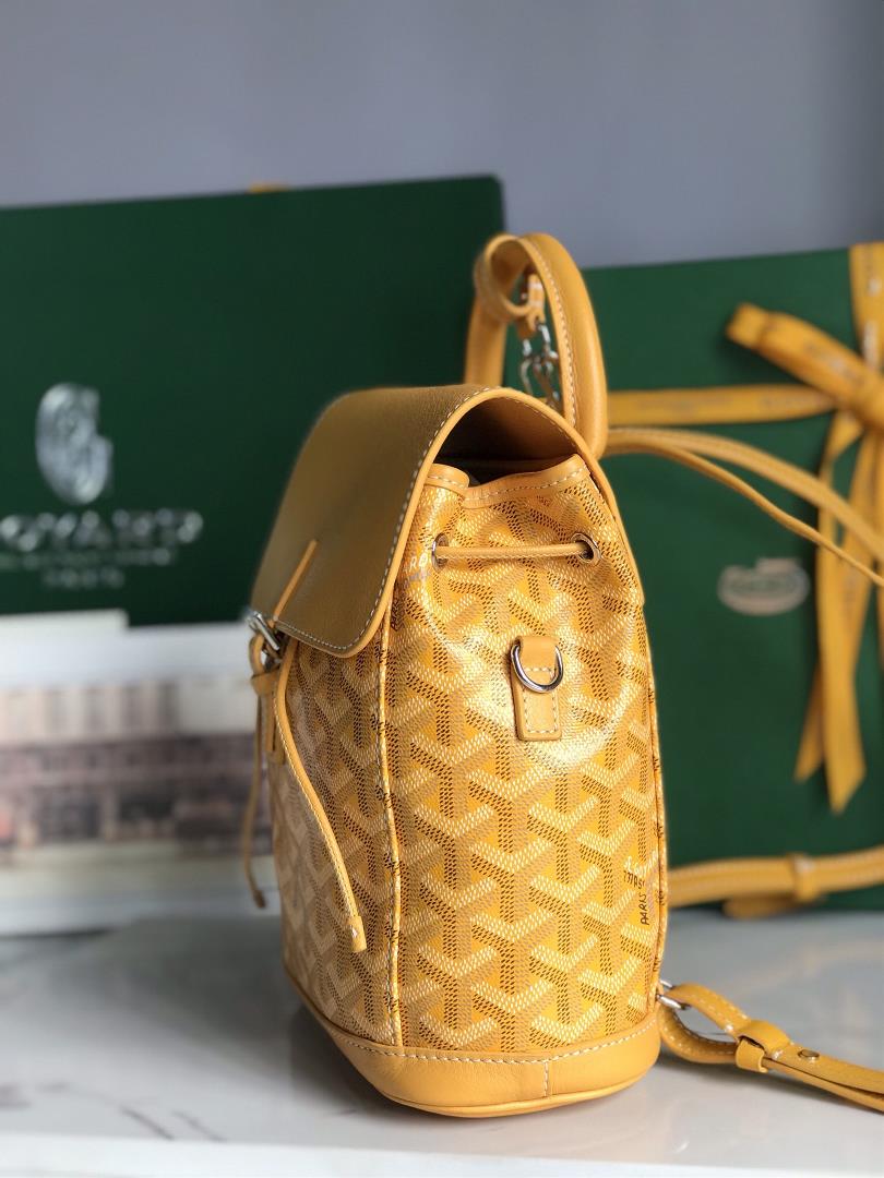 Goyard Alpin Mini Backpack Upgrade Delivery Original Gift Box Upgrade Instructions RibbonGoyar