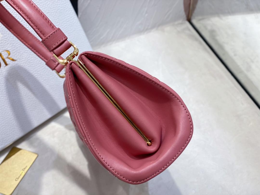 Dior New HandbagThis handbag is a new autumn 2023 item paired with a top handle showcasi