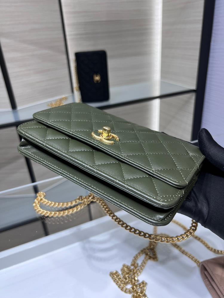 In todays fastpaced world fashion is constantly evolving but the Chanel Woc bag effort