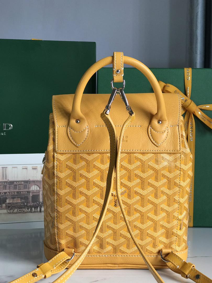 Goyard Alpin Mini Backpack Upgrade Delivery Original Gift Box Upgrade Instructions RibbonGoyar