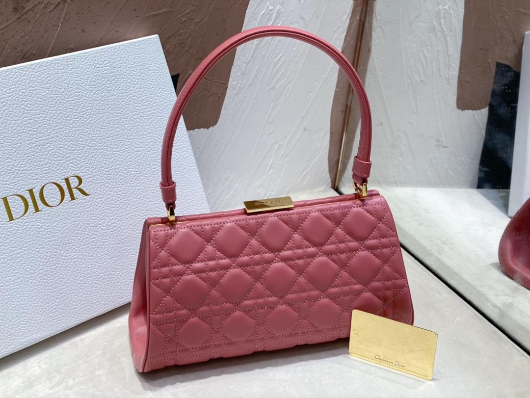 Dior New HandbagThis handbag is a new autumn 2023 item paired with a top handle showcasi