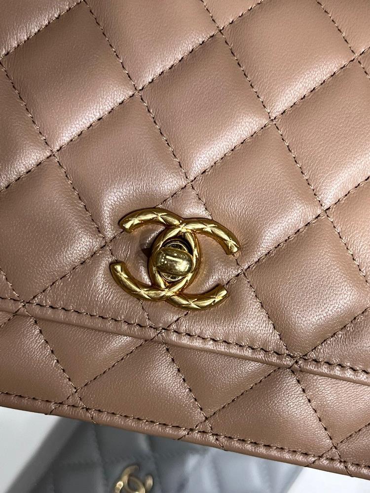 Owning a Chanel bag is more than just a fashion statement it is a symbol of sophisticatio