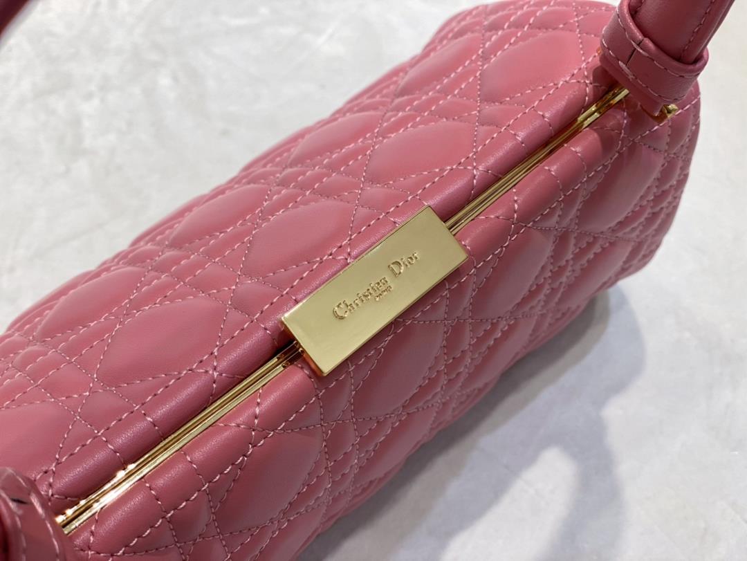 Dior New HandbagThis handbag is a new autumn 2023 item paired with a top handle showcasi