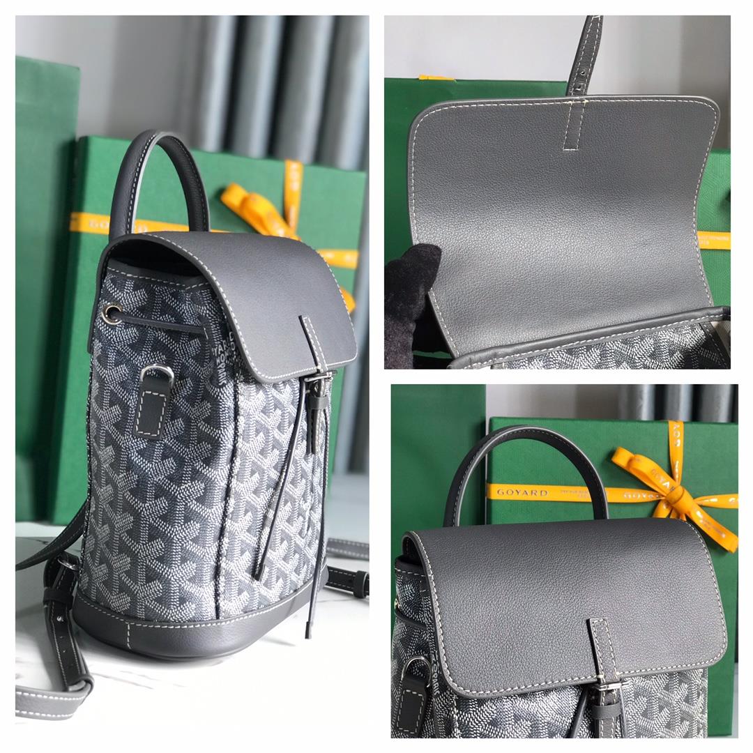 Goyard Alpin Mini Backpack Upgrade Delivery Original Gift Box Upgrade Instructions RibbonGoyar