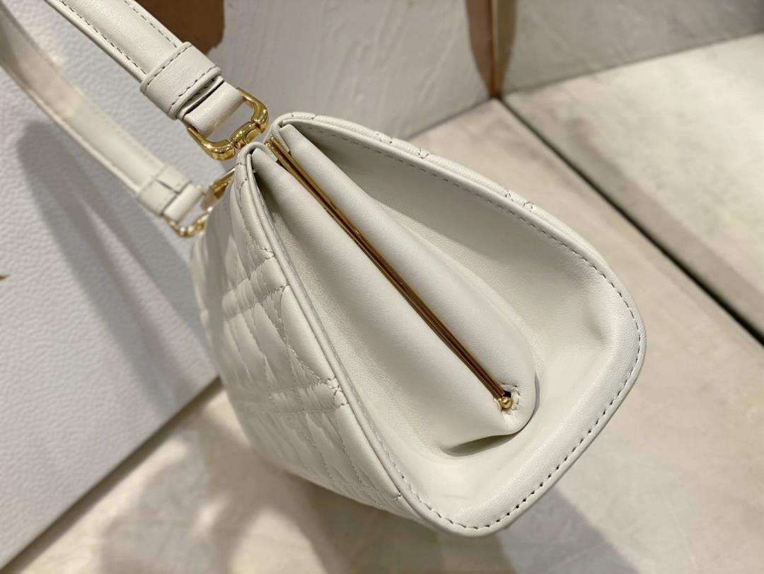 Dior New Handbag This handbag is a new autumn 2023 item paired with a top handle showcas