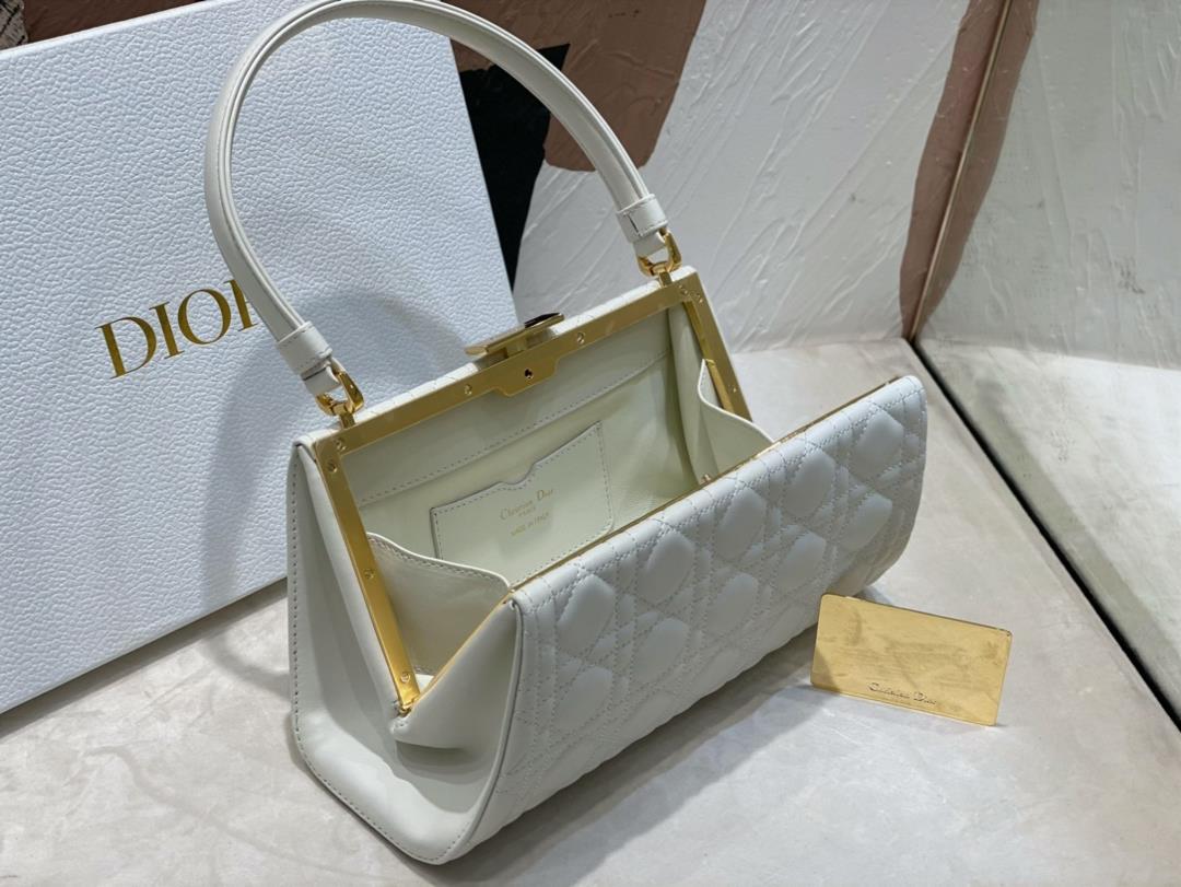 Dior New Handbag This handbag is a new autumn 2023 item paired with a top handle showcas