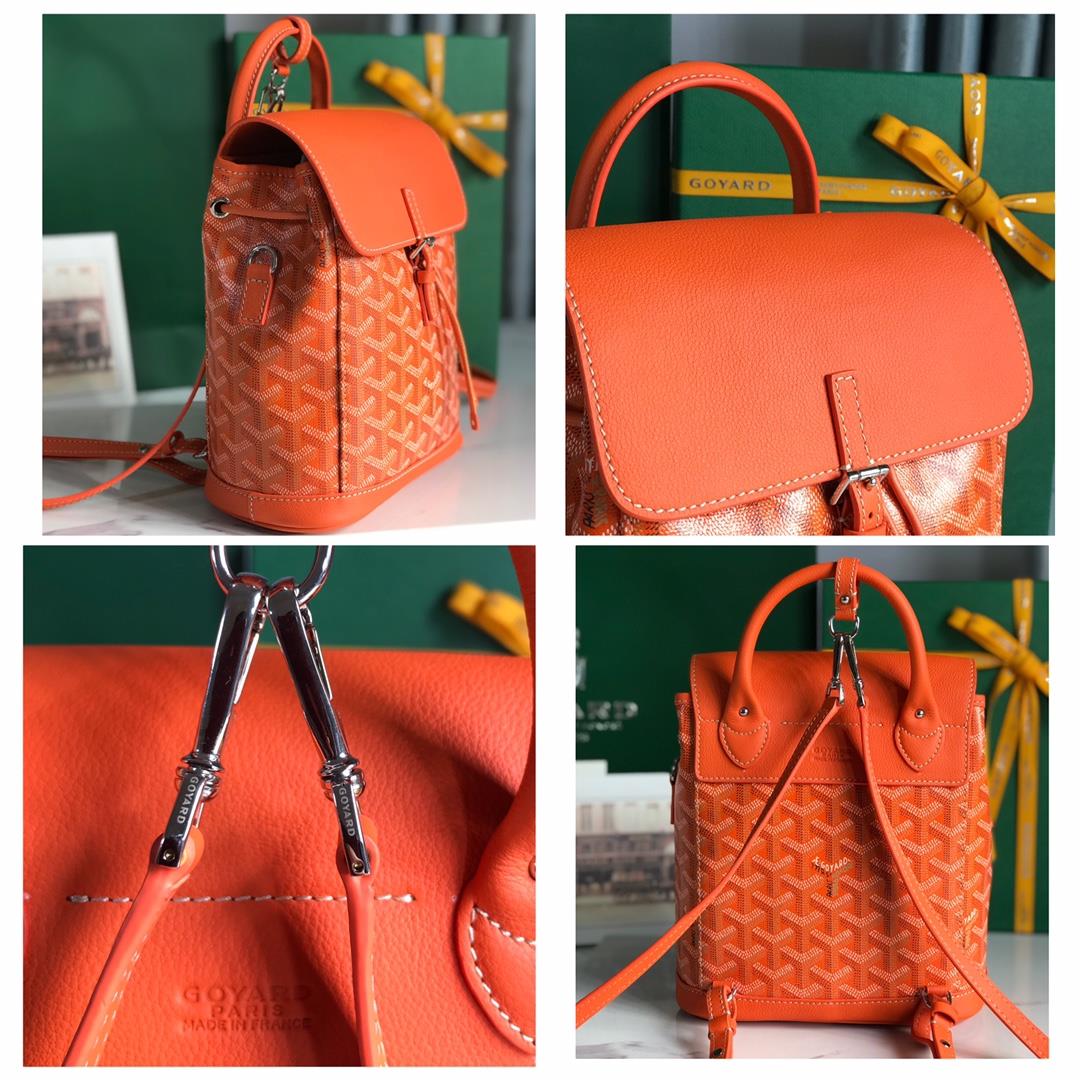 Goyard Alpin Mini Backpack Upgrade Delivery Original Gift Box Upgrade Instructions RibbonGoyar