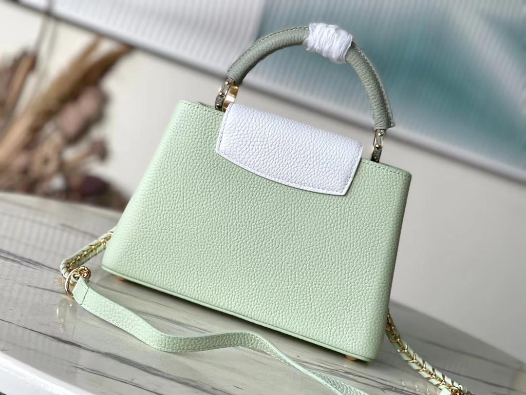 Top grade original M22916 M48865 apple green with white chainThis CAPUCINES small handbag