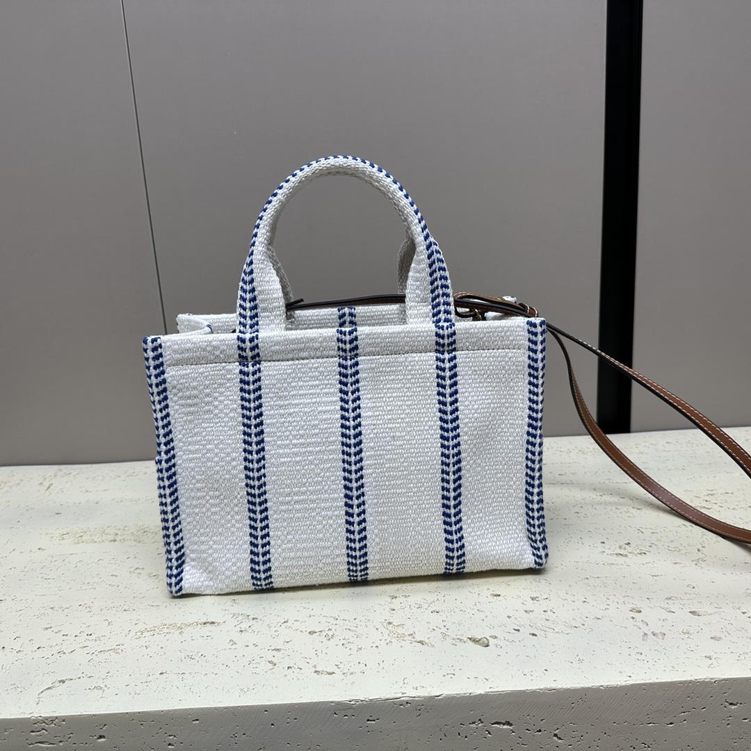 celines new CABAS THAIS printed fabric handbag with linen and blue stripes This model cannot a