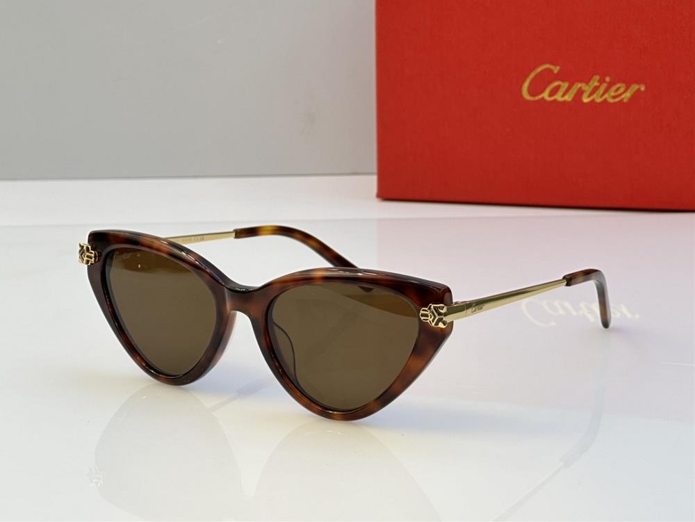 New Cartier glasses CT0453 SSIZE53 port 18140TagId 6499565TagName Cartier Cartier