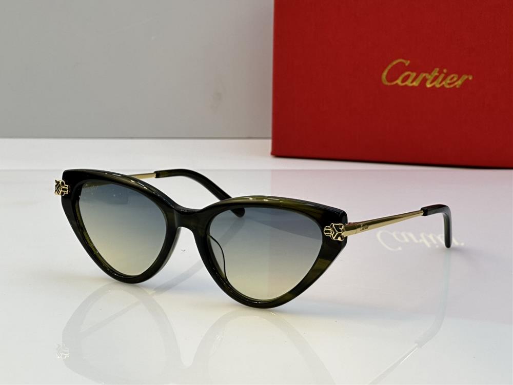 New Cartier glasses CT0453 SSIZE53 port 18140TagId 6499565TagName Cartier Cartier